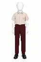 MANIQUÍ CAMISA MANGA CORTA.webp